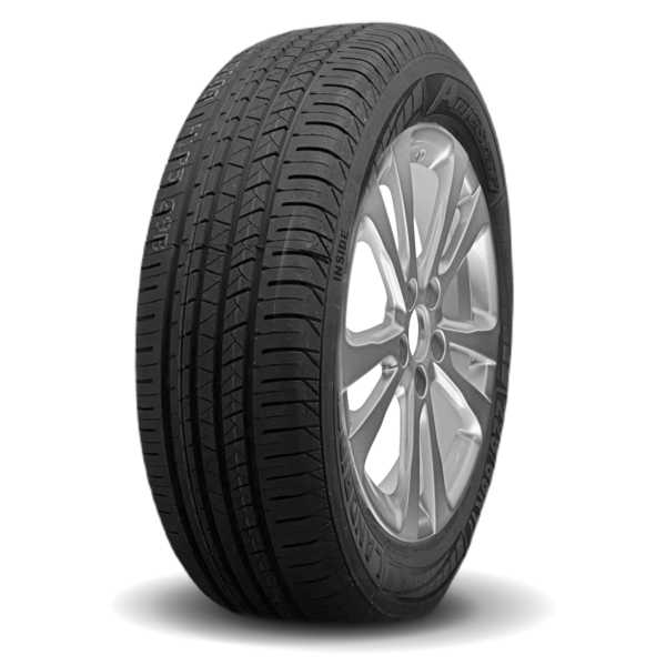 ANJESTAR LANDRIDER DS09 TIRES