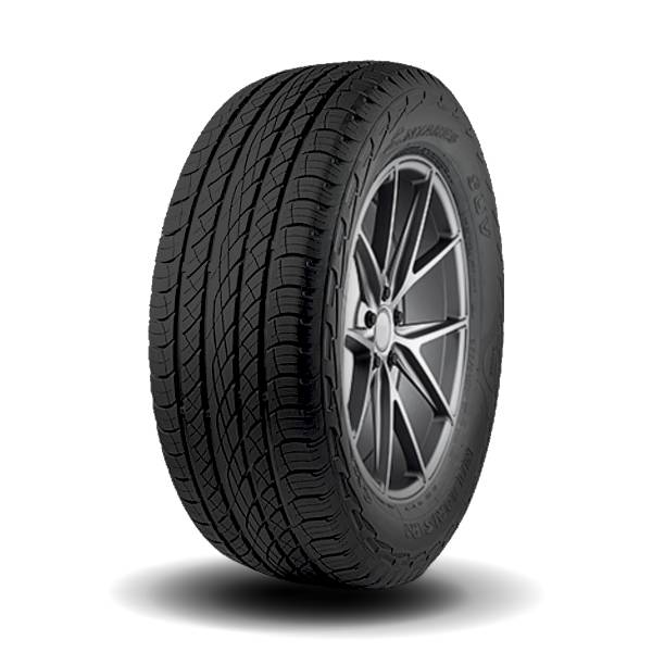 ANTARES MAJORIS R1 TIRES