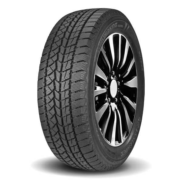 DOUBLESTAR WINTERKING DW02 TIRES