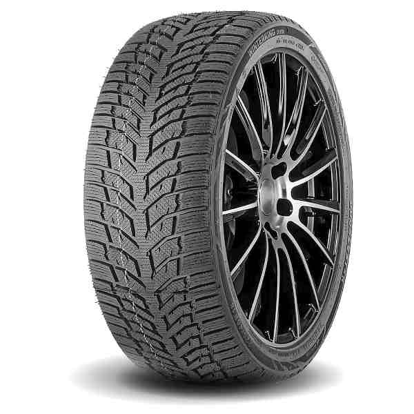DOUBLESTAR WINTERKING DW09 TIRES