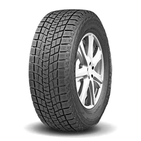 HABILEAD ICEMAX RW501 TIRES