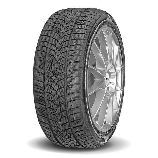 MINERVA FROSTRACK TIRES