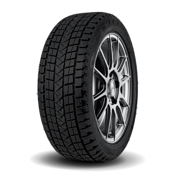 NEREUS NS806 WINTER TIRES
